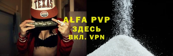 прущие грибы Абдулино