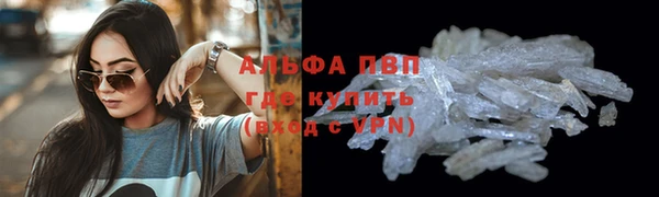 прущие грибы Абдулино