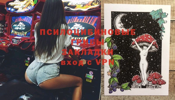 прущие грибы Абдулино