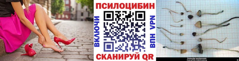 Галлюциногенные грибы мицелий  Белоозёрский 